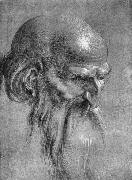 Albrecht Durer Head of an Apostle Looking Downward oil painting artist